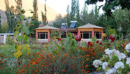 Uley Eco Resort, Leh Ladakh- Standard Cottages